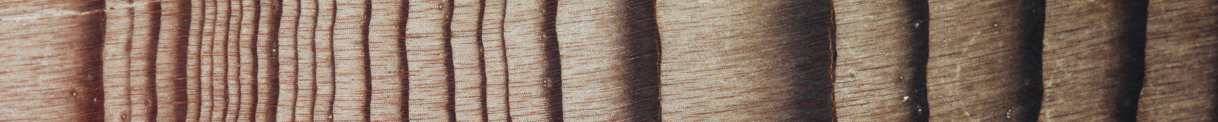 Image of Tree Rings thin banner