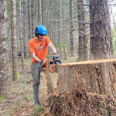 Andrew cutting a stump