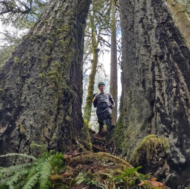 Cassidy standing between two large trees